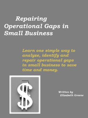 cover image of Repairing Operational Gaps in Small Business